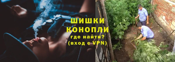 гашик Володарск