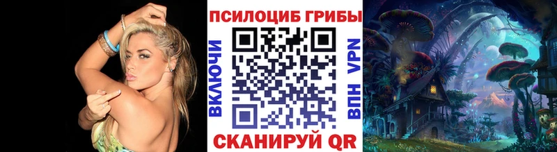 Галлюциногенные грибы Psilocybe  закладка  блэк спрут зеркало  Выкса 